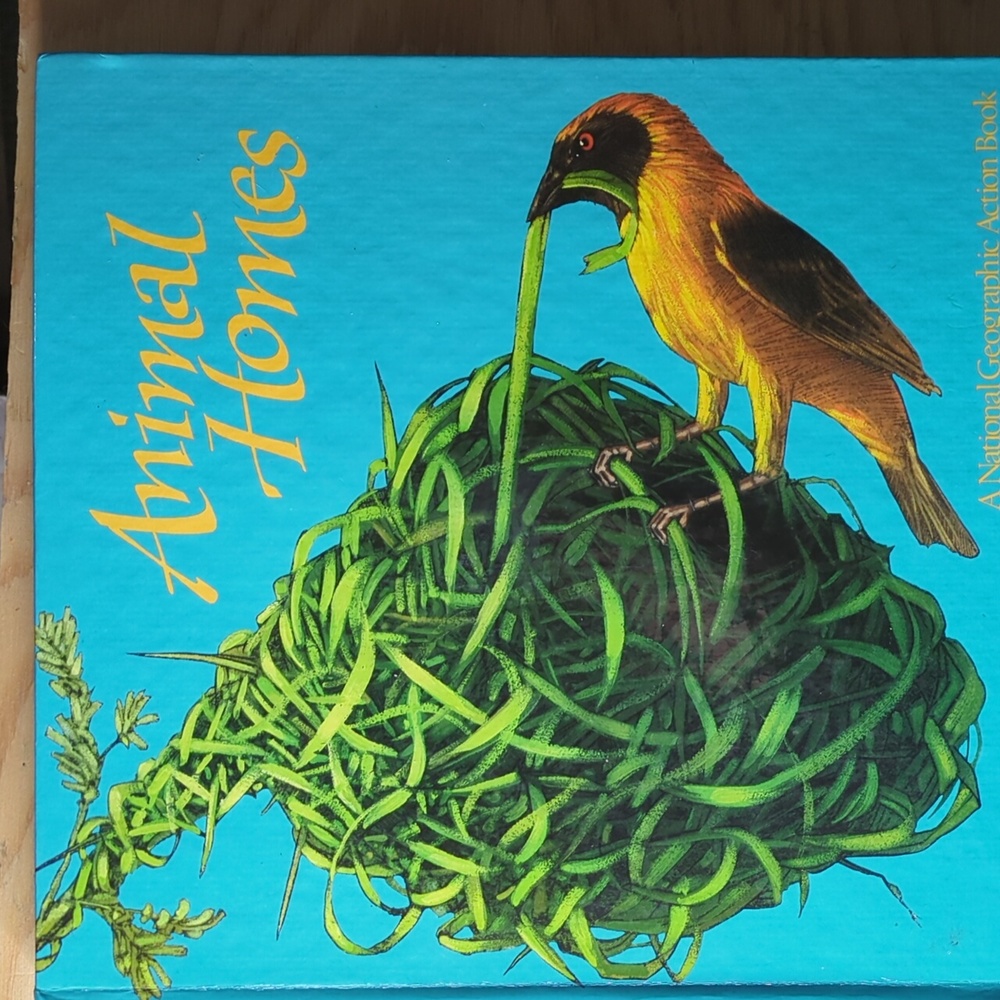 Animal Homes Pop up Book National Geographic Action Book All About Animal Homes